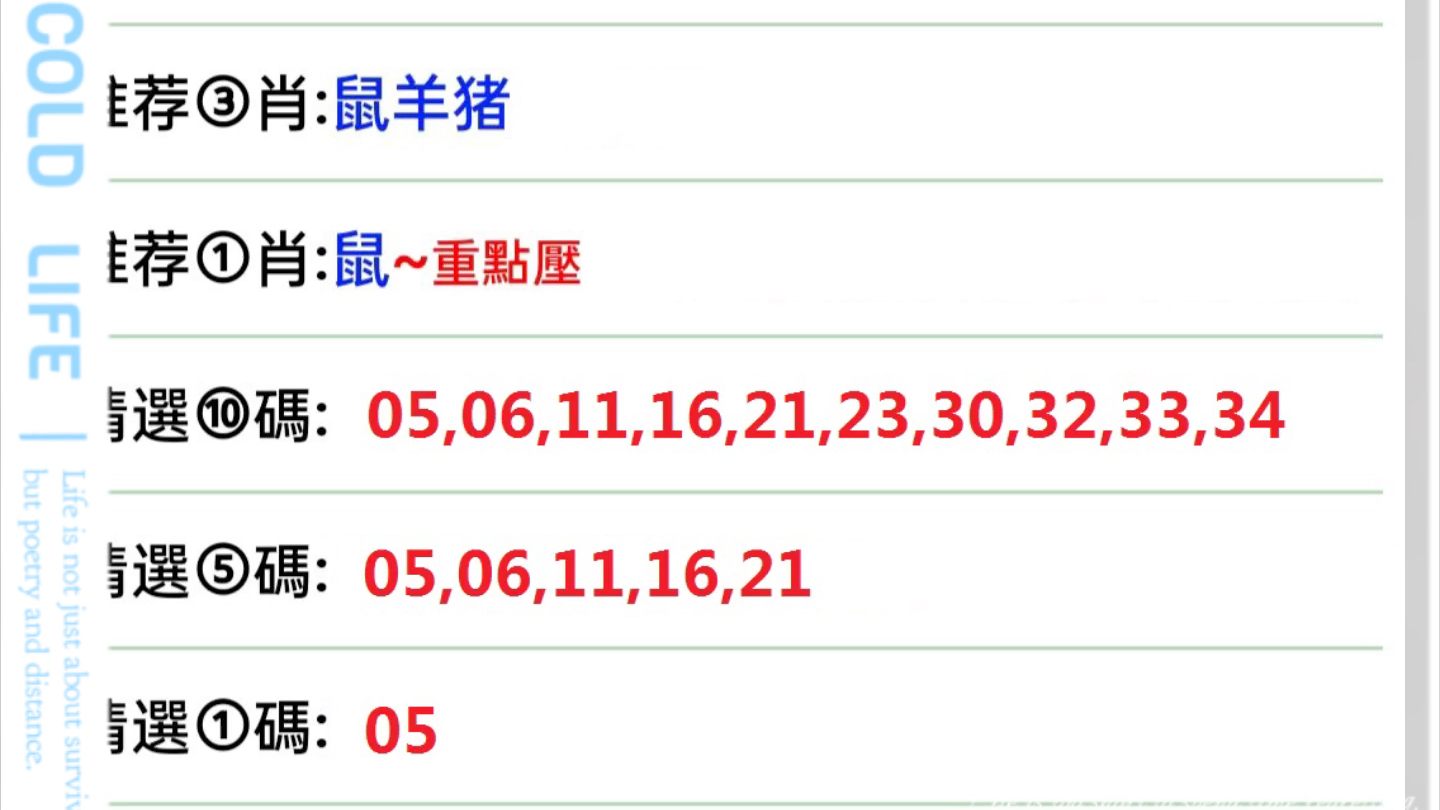 2025澳门特马今晚开奖097期|精选解释解析落实,澳门特马今晚开奖097期，解析与期待