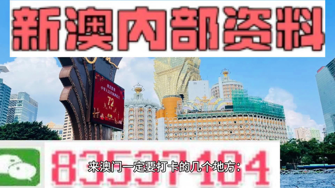 2025澳门最精准正版免费大全|精选解释解析落实,澳门2025最精准正版免费大全，解析与落实精选策略