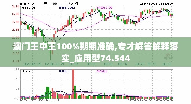 澳门王中王100%期期中|精选解释解析落实,澳门王中王100%期期中，解析与落实精选策略