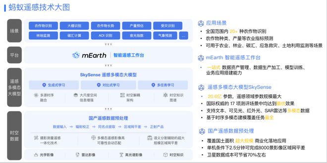 新奥天天免费资料单双|精选解释解析落实,新奥天天免费资料单双精选，解析与落实策略